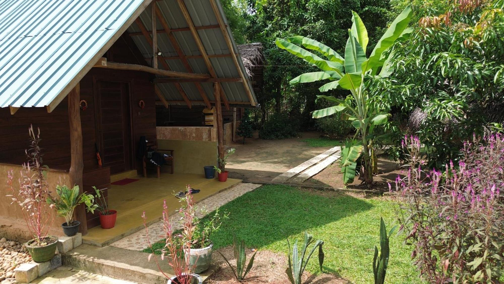 אודוואלאווה Maika Safari Lodge מראה חיצוני תמונה